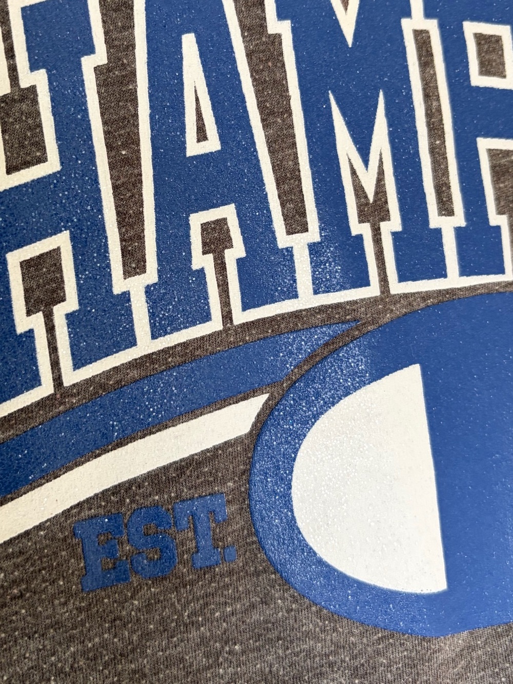 Sparkle Blue and White Champion Tee -Medium